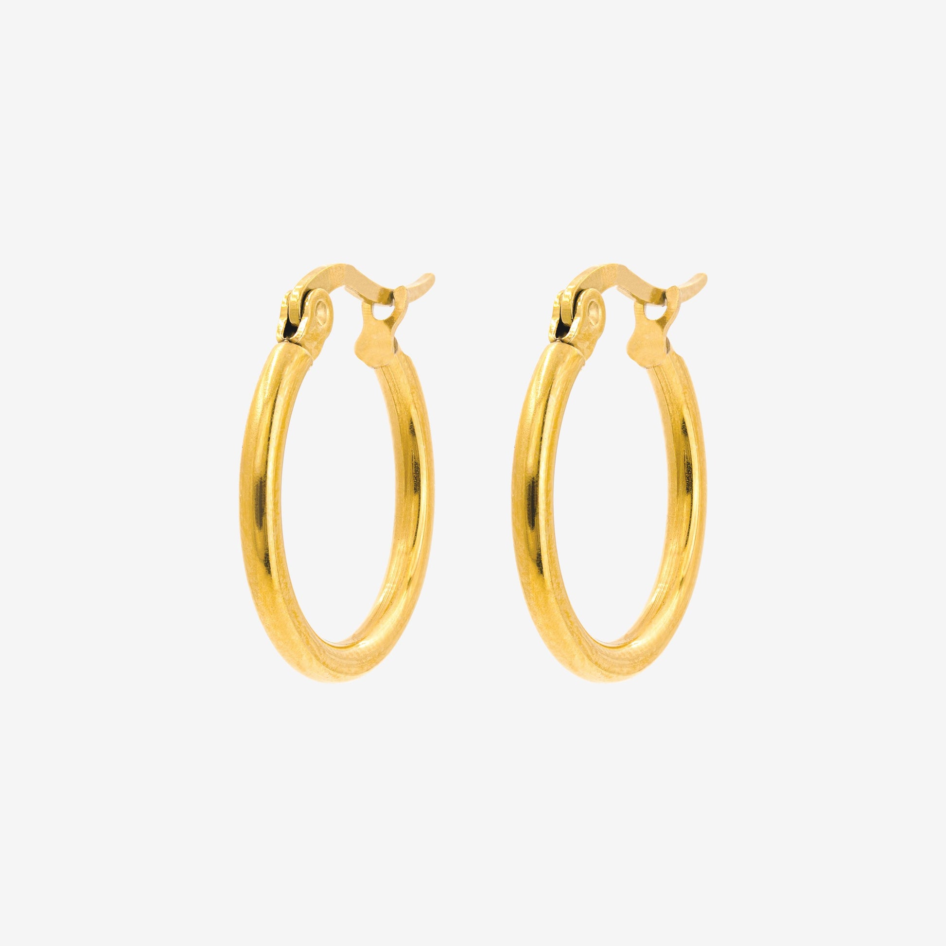 Sierra Hoops Medium