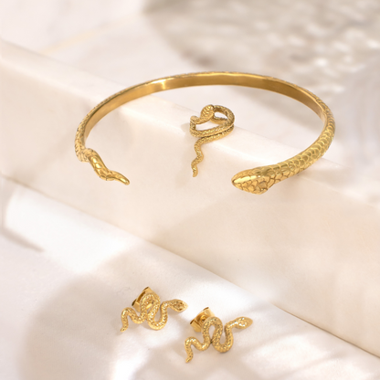 Charming Nicolas Bangle Argento